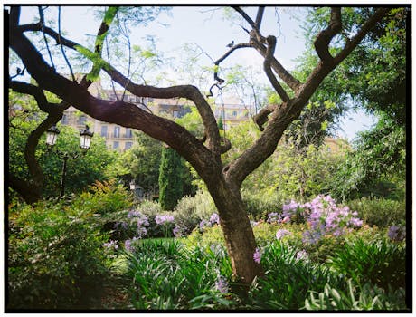 Jak Vybrat Rostliny pro Zdravé a Krásné Zahradní Jezírko