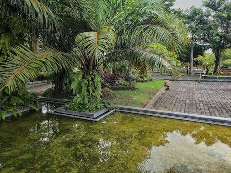 Výběr Rostlin pro Jezírko v Tropickém Klimatu: Průvodce