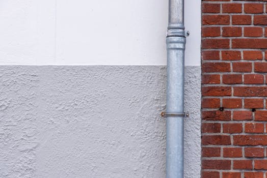 Top Odolné Rostliny pro Jezírka: Minimalizujte Údržbu!