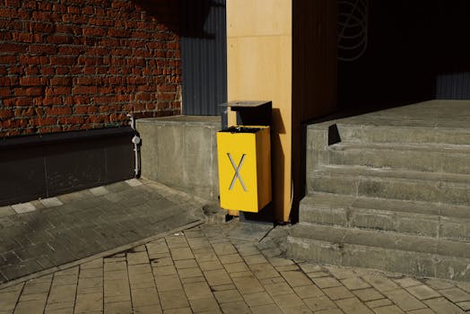 Úspěšné zasazení rostlin do jezírka: Váš průvodce krok za krokem